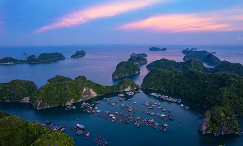 Ngôi làng 7000 tuổi không ô tô, xe máy, nhà nào cũng đánh số ở Hải Phòng