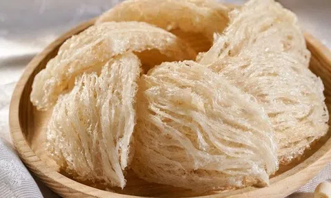 Lợi ích thần kỳ của tổ yến