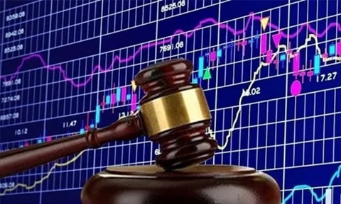 Vì sao Công ty Cổ phần Đầu tư Nam Nhật Khang bị xử phạt?