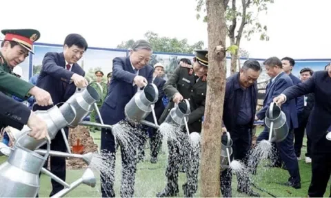 Xây dựng nền văn minh sinh thái, hướng tới Việt Nam xanh và đại dương hòa bình, bền vững