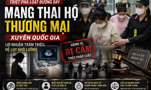 Triệt phá loạt đường dây mang thai hộ thương mại: Lộ mạng lưới xuyên quốc gia, lợi nhuận hàng trăm triệu đồng