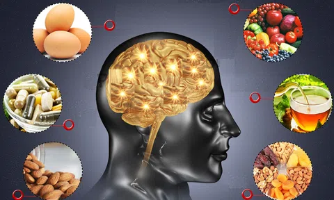 Thực phẩm tốt cho não bộ, tăng cường trí nhớ