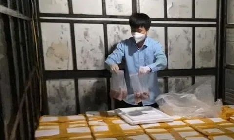 Thanh Hóa: Phát hiện hơn một tấn cá khoai có chứa chất cấm