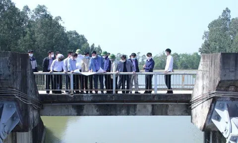 Thanh Hóa: Kiểm tra thực địa và thảo luận nội dung liên quan đến Dự án tăng cường khả năng tiêu thoát lũ khu vực phía Bắc tỉnh