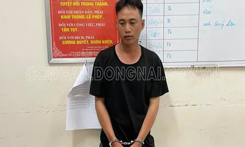 Đồng Nai: Bắt giữ đối tượng hiếp dâm tại phòng trọ