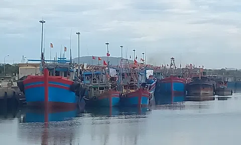 Thanh Hóa: Cần sớm tháo gỡ khó khăn giúp ngư dân tiếp tục bám biển