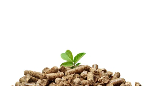 Xu hướng thay thế than đá bằng năng lượng sạch trong sản xuất