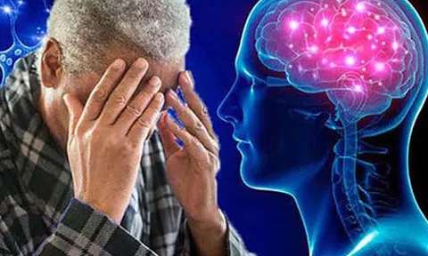 Lohha Trí Não - Cải thiện tình trạng suy giảm trí nhớ, sa sút trí tuệ