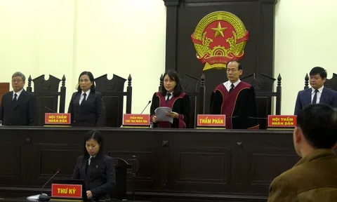 Tòa án nhân dân tỉnh Ninh Bình: Xử có đúng người, đúng tội?