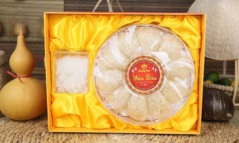 Tăng sức đề kháng, chống cúm, dịch bệnh nhờ Yến sào Hoàng Việt Nha Trang
