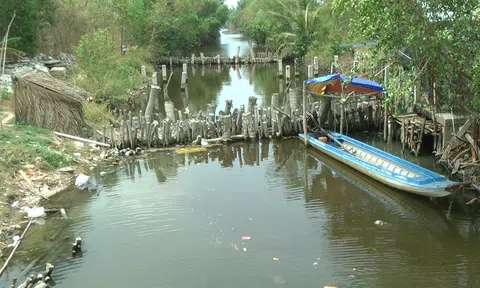 Bạc Liêu: Người dân làm ăn thua lỗ vì công trình phục vụ sản xuất chậm tiến độ