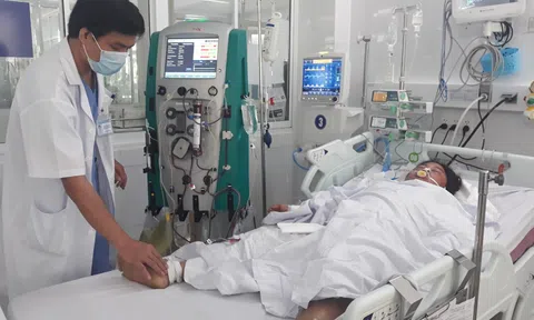 Quảng Ngãi: Gia đình 3 người ăn phải nấm độc đã tử vong