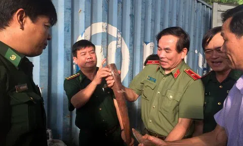 USAID và Đà Nẵng hợp tác truyền thông nhằm giảm nhu cầu tiêu thụ động vật hoang dã