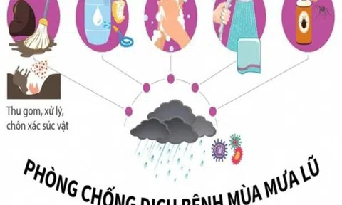Cách phòng chống dịch bệnh nguy hiểm mùa mưa bão