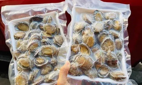 Bào ngư Trung Quốc "đội lốt" bào ngư Hàn khiến nhiều người bị lừa khi mua qua mạng