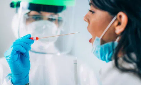 Phát hiện đột biến của virus corona trên chồn có thể gây đại dịch mới