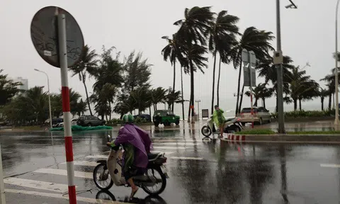 Bão số 12 đổ bộ, gió lớn quật đổ nhiều cây to, "thổi xiêu vẹo" người đi đường