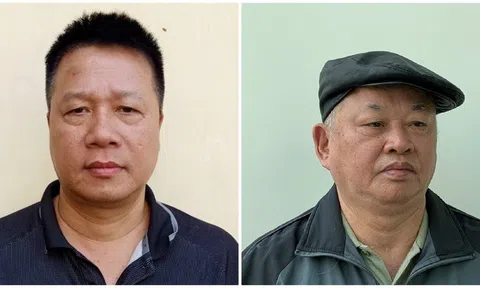 Vì sao Chủ tịch công ty CP Tập đoàn Đại Nam bị khởi tố?