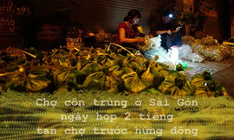 Chợ côn trùng ở Sài Gòn ngày họp 2 tiếng tan chợ trước hừng đông