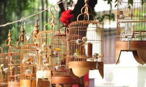 Gian nan một thú chơi tao nhã