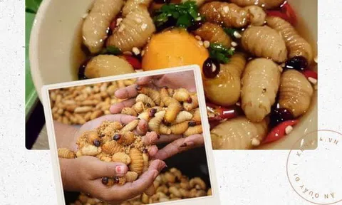 8 loại đặc sản "nhúc nhích" ở Việt Nam, ăn một lần nhớ mãi cả đời