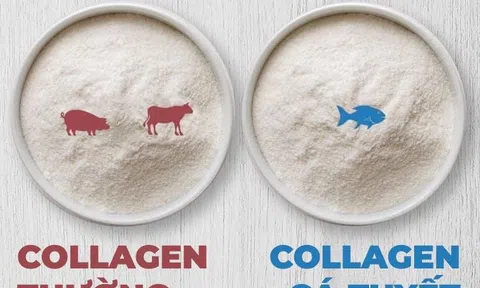 Bao nhiêu tuổi thì nên uống collagen? Collagen loại nào tốt nhất?