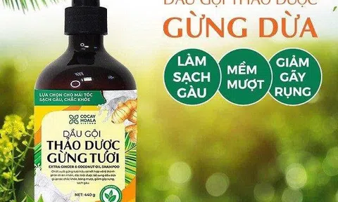 4 lý do bạn nhất định phải sử dụng dầu gội thảo dược làm sạch gàu gừng dừa hữu cơ cỏ cây hoa lá