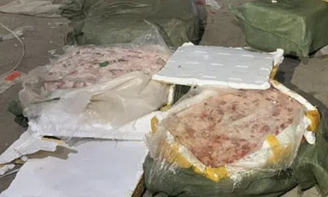 Hơn 700 kg nội tạng nhập lậu bị bắt giữ tại Quảng Ninh