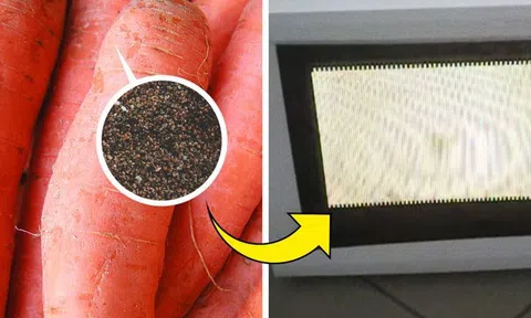 Những loại thực phẩm tuyệt đối không hâm nóng bằng lò vi sóng