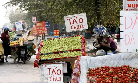 Hoa quả giá rẻ không rõ nguồn gốc bày bán ngập phố Hà Nội