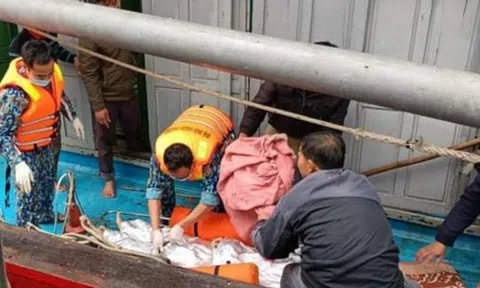Tàu cá Nghệ An bị tàu "lạ" đâm mạnh khiến 8 người rơi xuống biển, 1 người tử vong