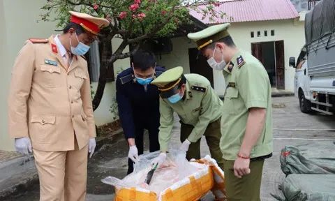 Bắt giữ 2,5 tấn nầm lợn đông lạnh không rõ nguồn gốc