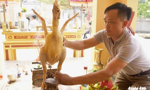 Choáng ngợp với cách thức ép dáng "gà bay" độc đáo