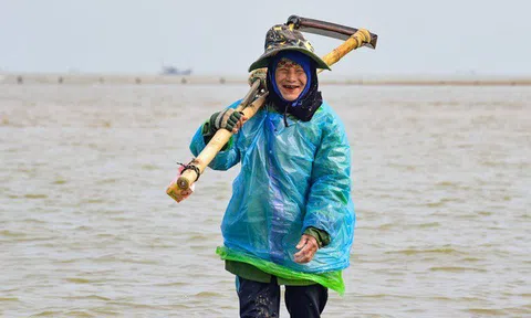 Nghề đi giật lùi nơi cửa biển của bà con xứ Thanh