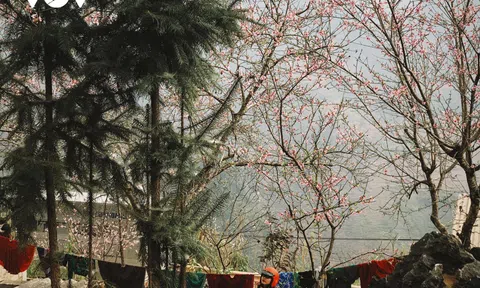 Hà Giang đẹp mơ màng qua góc máy thô sơ của giới trẻ