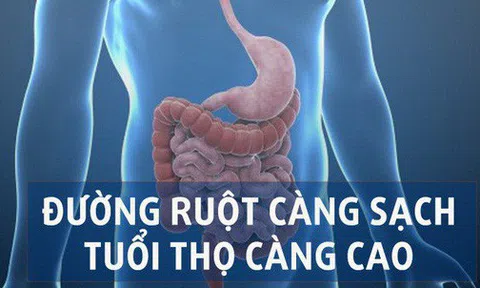 Những thực phẩm giúp làm sạch ruột già nên bổ sung vào thực đơn hằng ngày