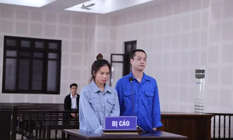 Tổ chức cho 27 người Trung Quốc ở trái phép, 2 người lĩnh án 17 năm tù