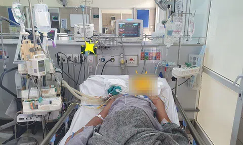 Nguyên nhân khiến người đàn ông ăn cua mặt quỷ rơi vào nguy kịch