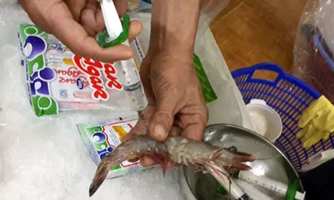 Phát hiện cơ sở tại Hà Nội bơm tạp chất vào tôm để kiếm lời