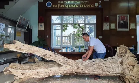 Khánh Hòa tổ chức Lễ hội “Linh thiêng xứ trầm”