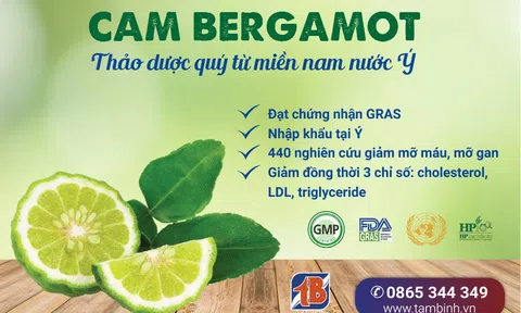 Đột phá mới giúp đẩy lùi bệnh mỡ máu cao từ chiết xuất Cam Địa Trung Hải