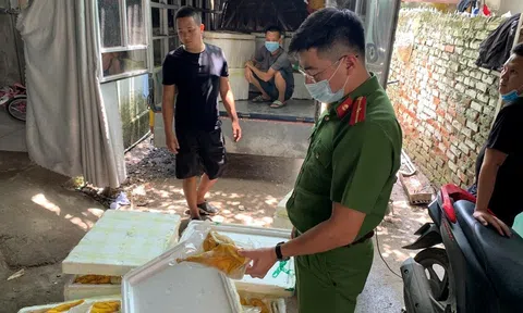 Bắc Từ Liêm: Phát hiện số lượng lớn gà ủ muối tiêu nhập khẩu không có nguồn gốc xuất xứ