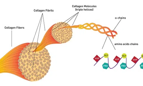 Chọn mua collagen thế nào vừa hiệu quả vừa tiết kiệm