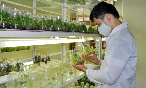 Nông nghiệp công nghệ - cần đột phá để đi xa