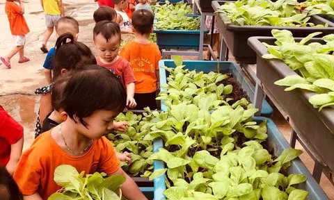 Trường Mầm non Lý Khánh Văn làm tốt công tác đảm bảo vệ sinh an toàn thực phẩm năm học 2019 – 2020