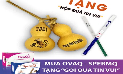 Giáo viên mầm non chia sẻ bí quyết sinh đôi sau nhiều năm 'thả mãi không thấy'