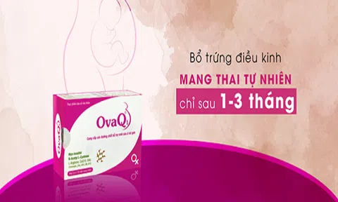 OVAQ1 giúp mang thai tự nhiên