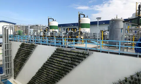Doanh nghiệp Tây Ban Nha lấy Việt Nam làm động lực để tiến vào thị trường Đông Nam Á