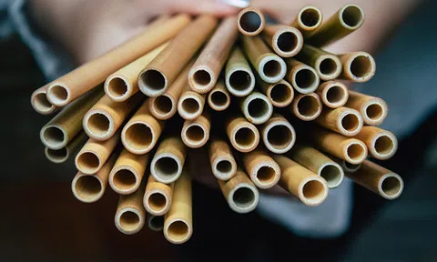 Ống hút tre và những điều có thể bạn chưa biết?