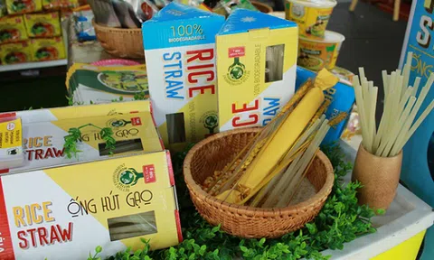 Thương hiệu Bình Tây FOOD tham gia lễ hội lớn nhất trong năm 2019- 'TP.HCM- Phát triển và hội nhập'